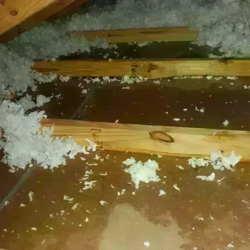 Attic Water Damage in Spotsylvania County, VA