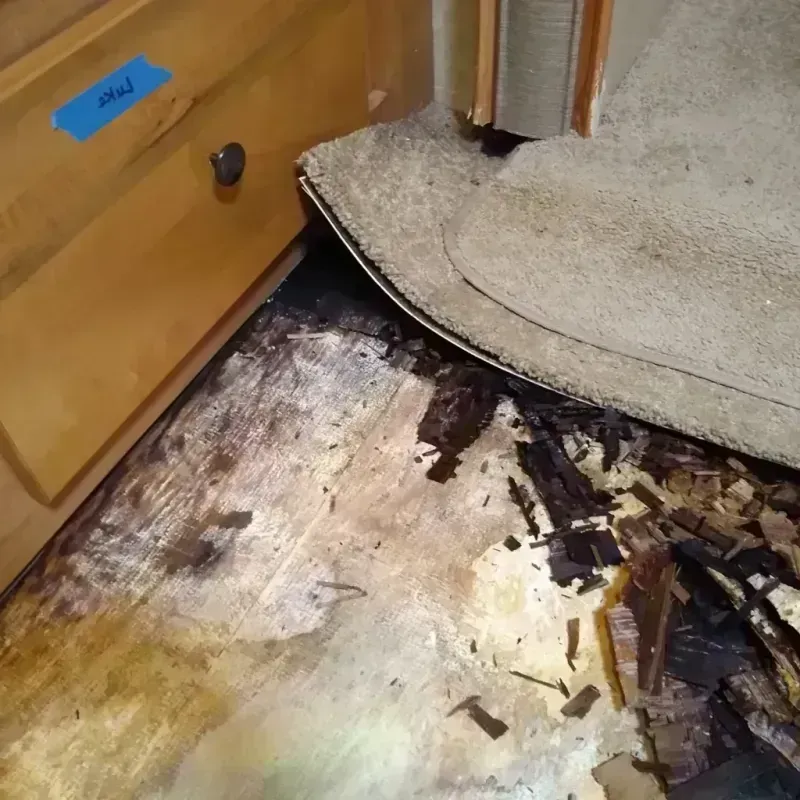 Best Wood Floor Water Damage Service in Spotsylvania County, VA